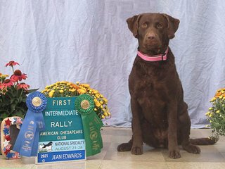 1st Place Rally Intermediate