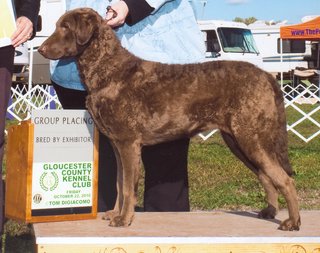 Slider Bred-By Group Placing