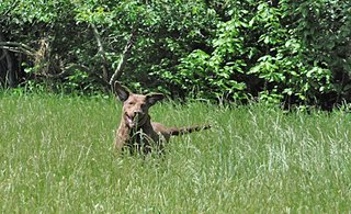 Sky Hiking Elk Neck State Park