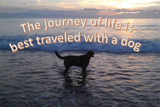 The Journey