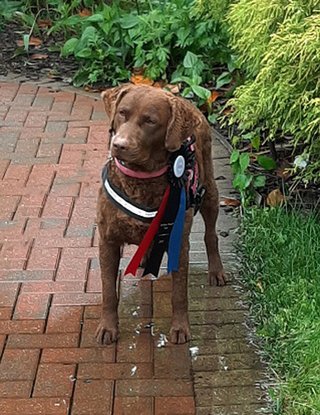 GIA
